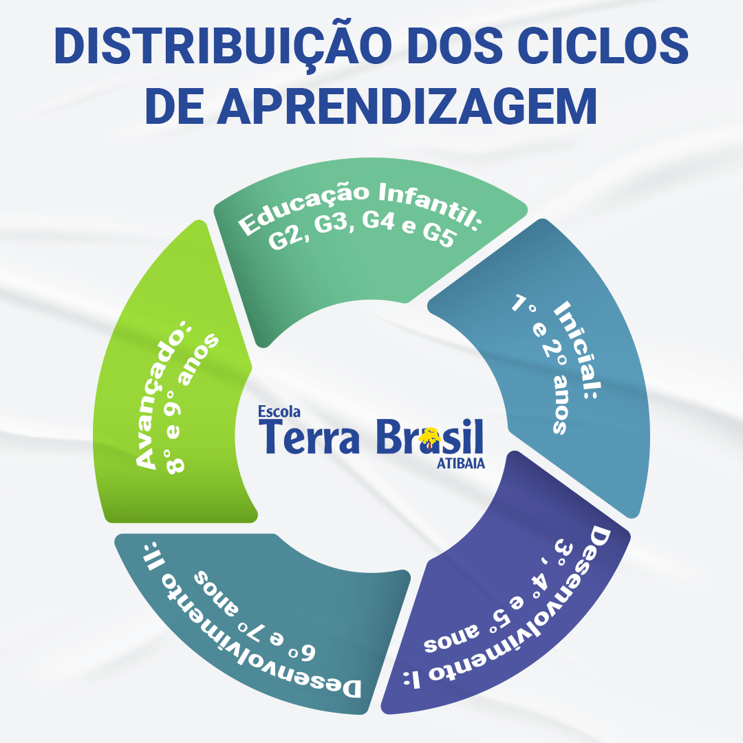 Como funcionam os Ciclos de Aprendizagem - Escola Terra Brasil